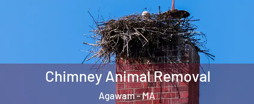 Chimney Animal Removal Agawam - MA