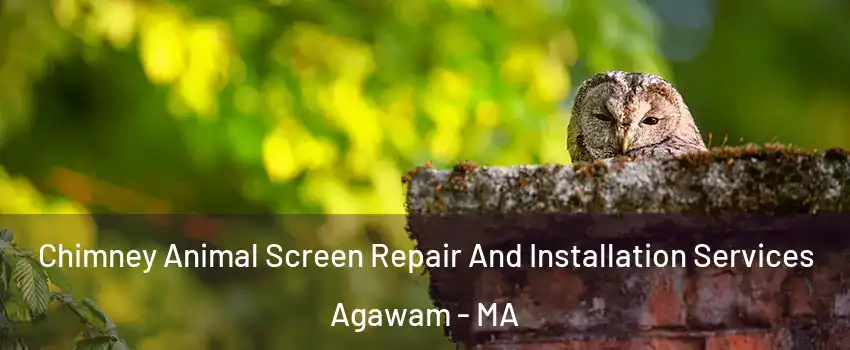  Chimney Animal Screen Repair And Installation Services Agawam - MA