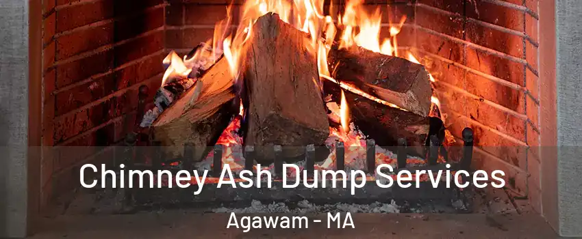  Chimney Ash Dump Services Agawam - MA