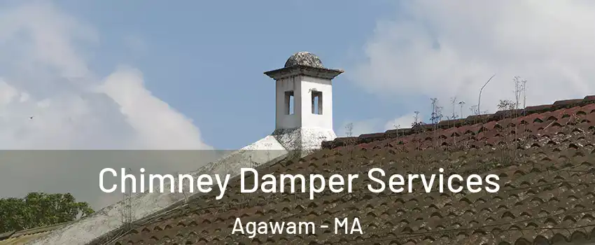  Chimney Damper Services Agawam - MA