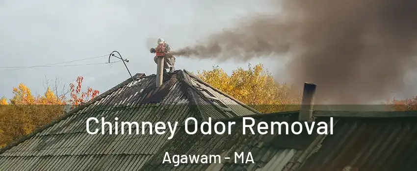  Chimney Odor Removal Agawam - MA