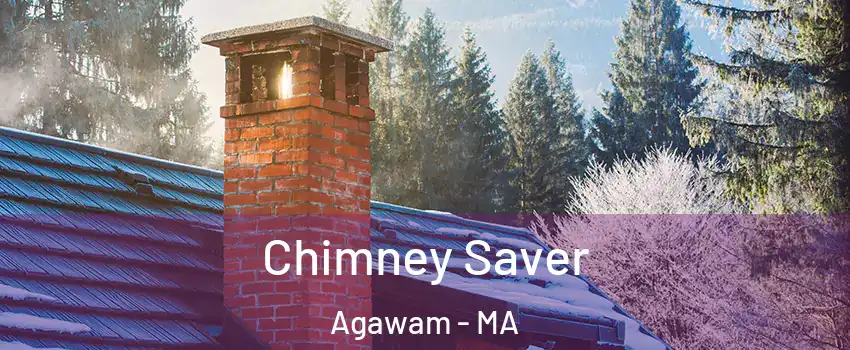  Chimney Saver Agawam - MA