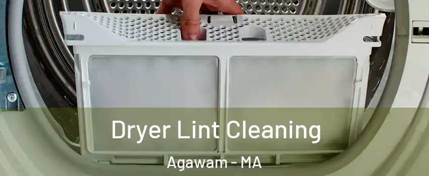 Dryer Lint Cleaning Agawam - MA