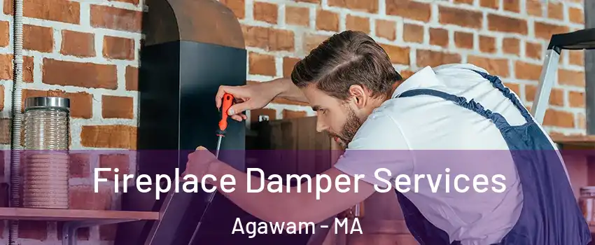  Fireplace Damper Services Agawam - MA