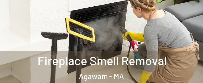  Fireplace Smell Removal Agawam - MA