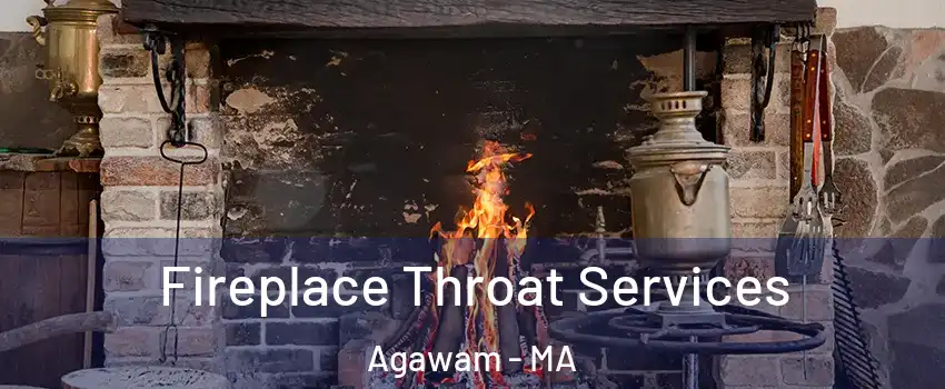  Fireplace Throat Services Agawam - MA