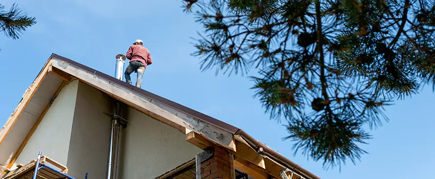 Birds Removal Contractors from Chimney in Agawam, MA