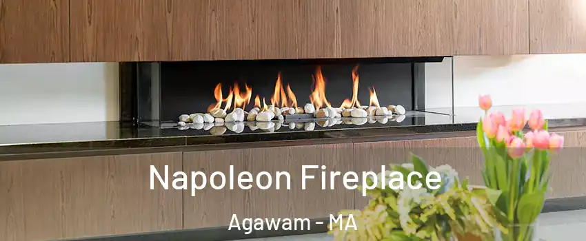  Napoleon Fireplace Agawam - MA