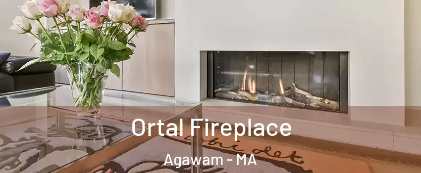 Ortal Fireplace Agawam - MA