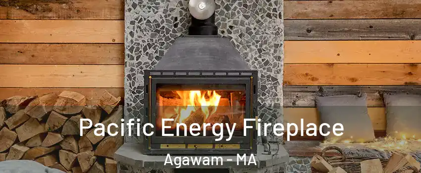 Pacific Energy Fireplace Agawam - MA